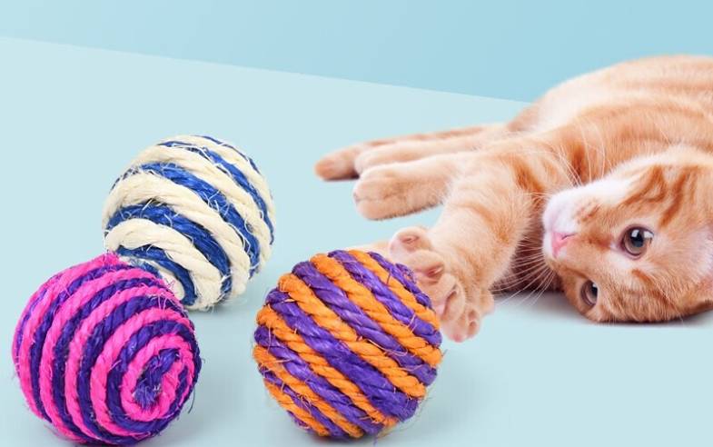 微信截圖_20240515171819